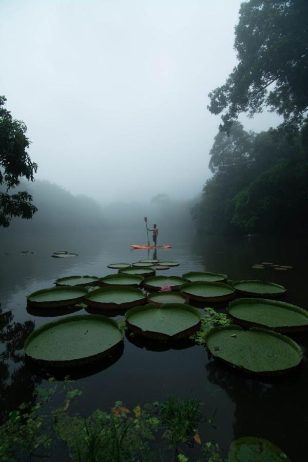 Los Chocuacos. Guácimo Esterno foto