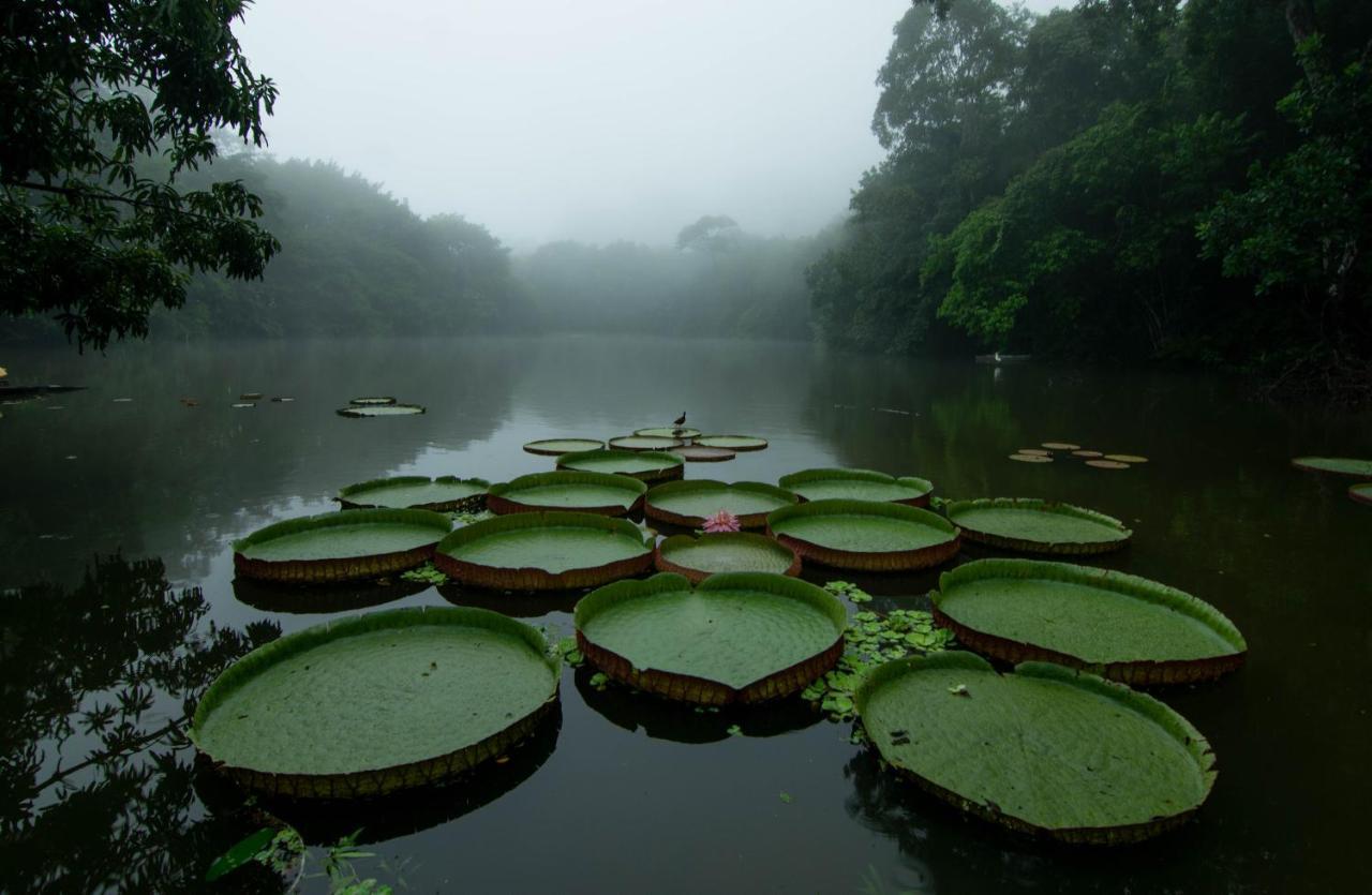 Los Chocuacos. Guácimo Esterno foto